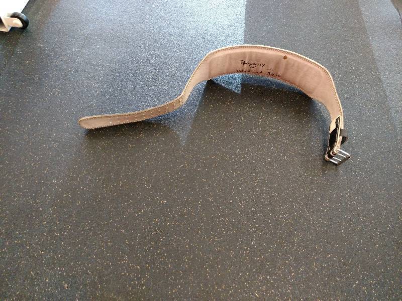 lot 100 image: Grizzly Lifting Belt...
