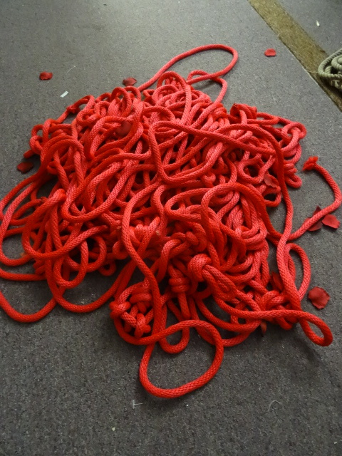 Large amount of red rope. Decorativ...