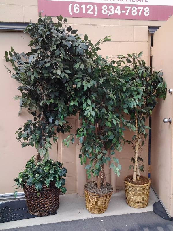 lot 47 image: 3-Artificial Trees 6 Feet Tall