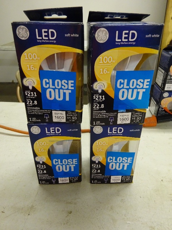 LED 100 Watt Bulb