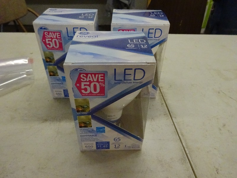 LED 65 watt bulbs