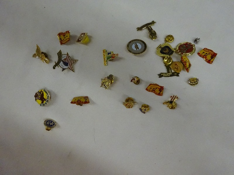 Variety of pins and coins