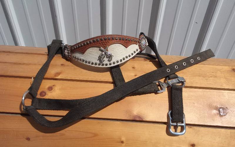 lot 46 image: Horse Tack - Pistol Dcor