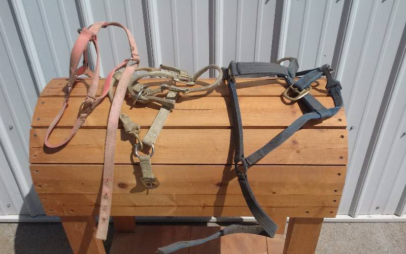 lot 51 image: Lot - Horse Tack