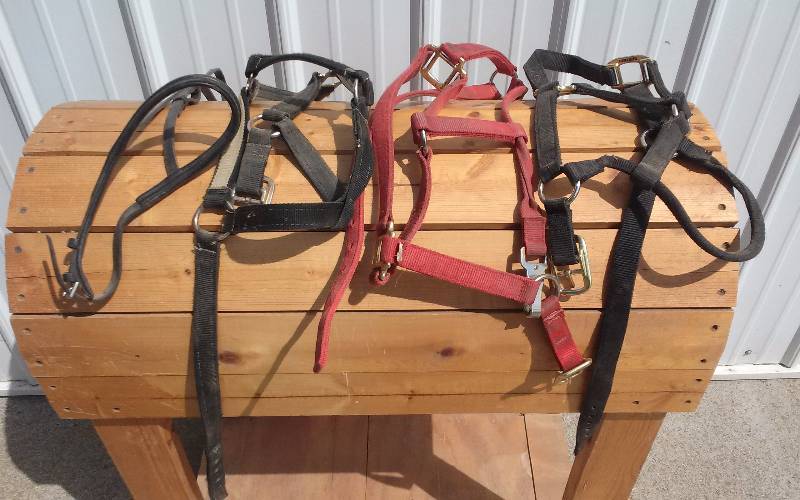 lot 53 image: Lot - Horse Tack - Halter