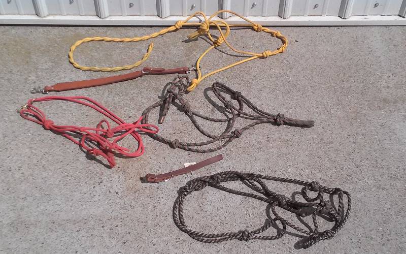 lot 54 image: Lot - Horse Tack - Halter