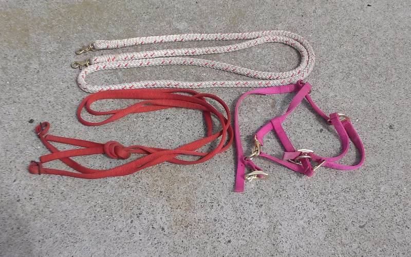 lot 55 image: Lot - Horse Tack - Halter