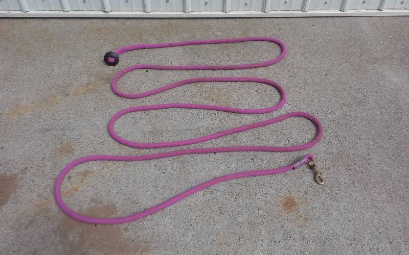 lot 56 image: Lunge Rope, appx 20ft