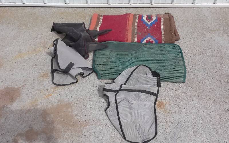 lot 59 image: Lot - Misc Horse Gear