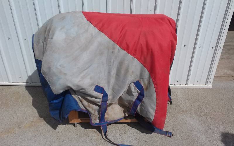 lot 61 image: Horse Blanket