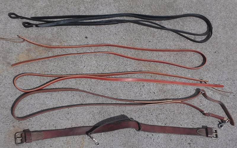 lot 62 image: Lot - Reins