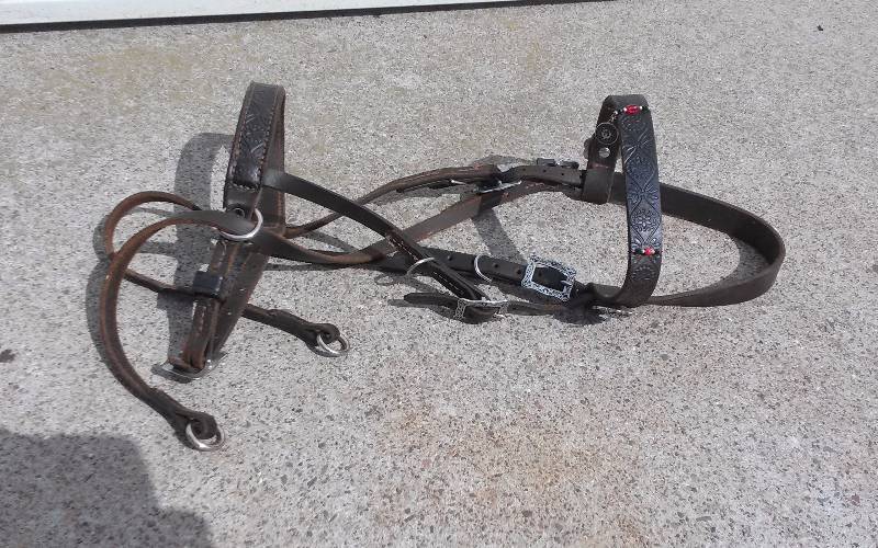 lot 65 image: Horse Show Bridle