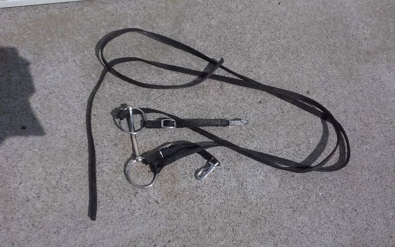 lot 66 image: Horse Bridle, Bit