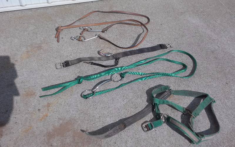lot 71 image: Lot - Horse Tack, Bridle, etc