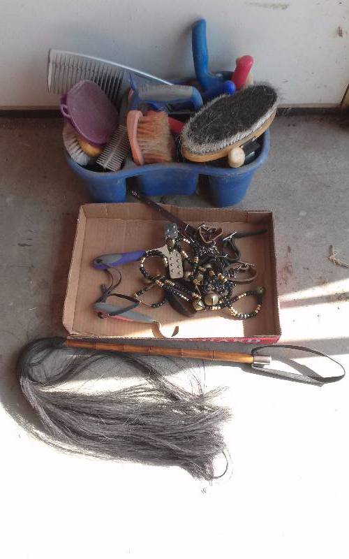 lot 75 image: Lot - Horse Grooming Items, etc