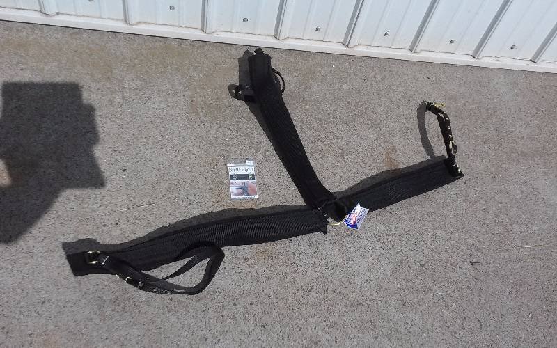 lot 191 image: Horse Bridle with Decorative Browband Accessory - NWT