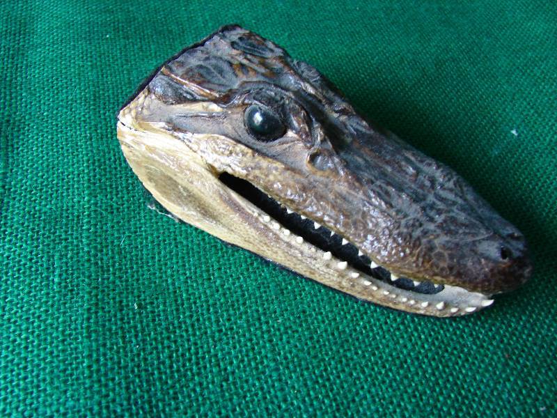 lot 111 image: Vintage Gater head,
