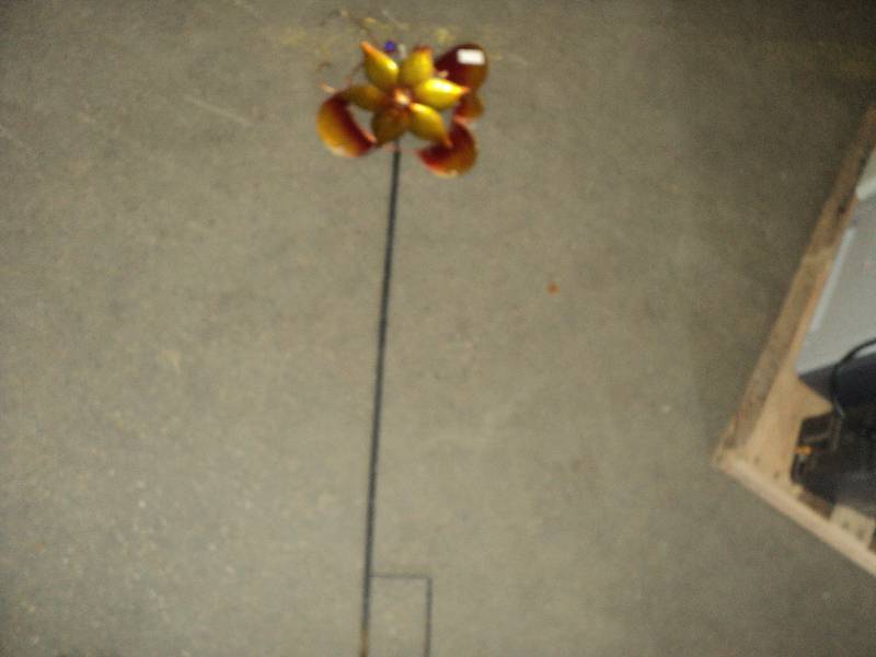 outdoor flower, 4 ft tall...
