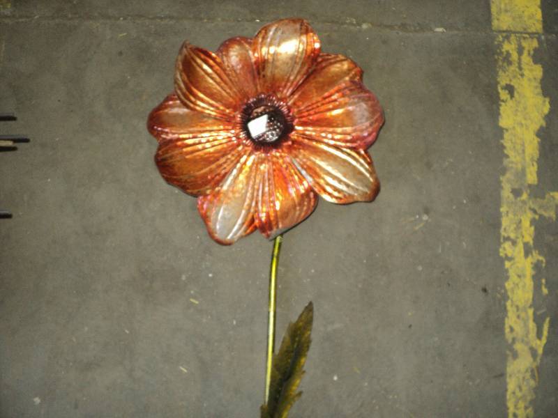 outdoor flower, 5 ft tall...