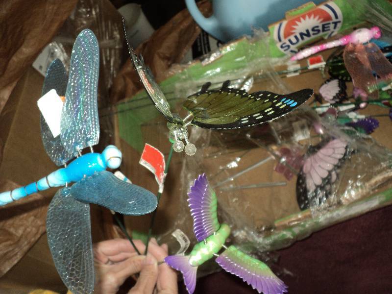 10 butterfly, dragonfly, and hummin...