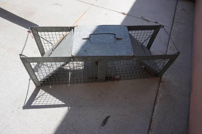 Havahart Easy Set Animal Live Trap