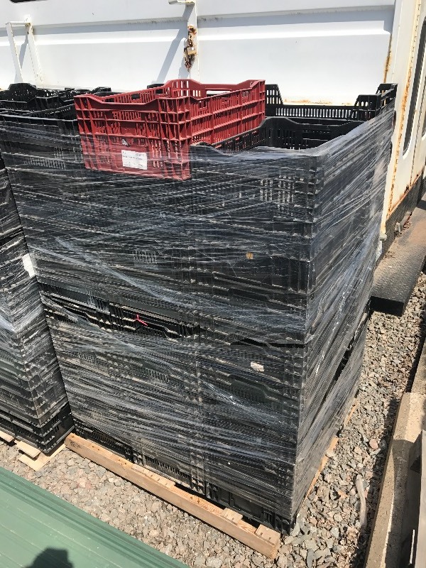 lot 29 image: Pallet Of (24) Plastic Bins