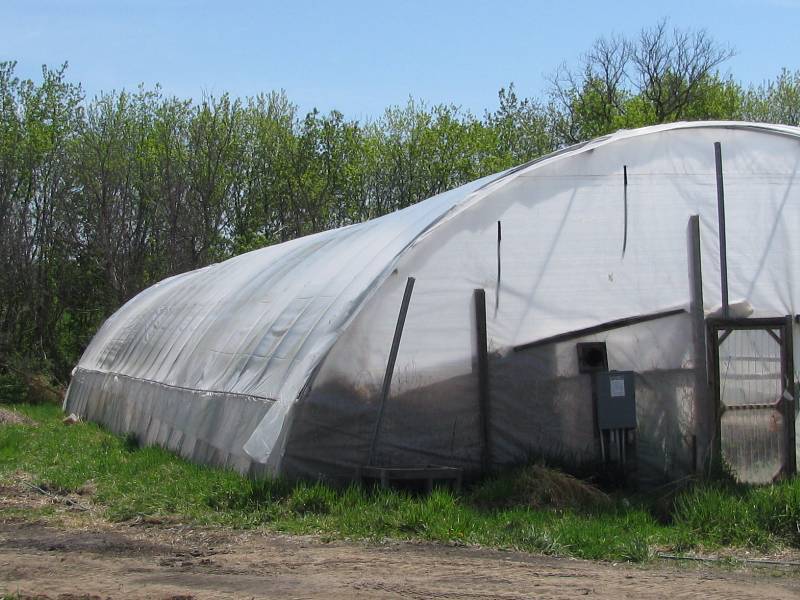 Green House