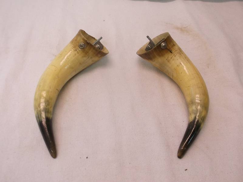 Bull Horns