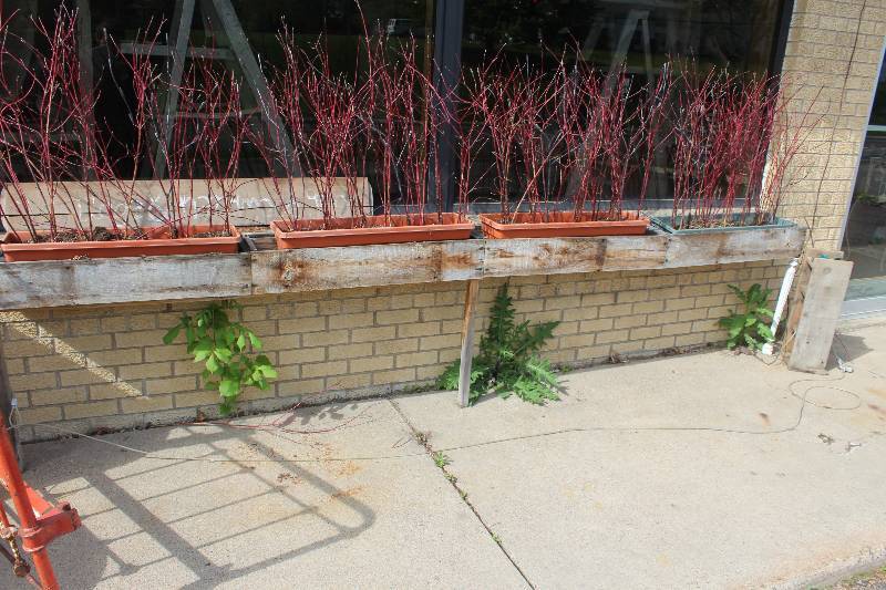 lot 343 image: Planter Boxes, Pots