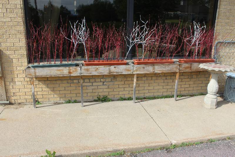 lot 344 image: Planter Boxes, Pots