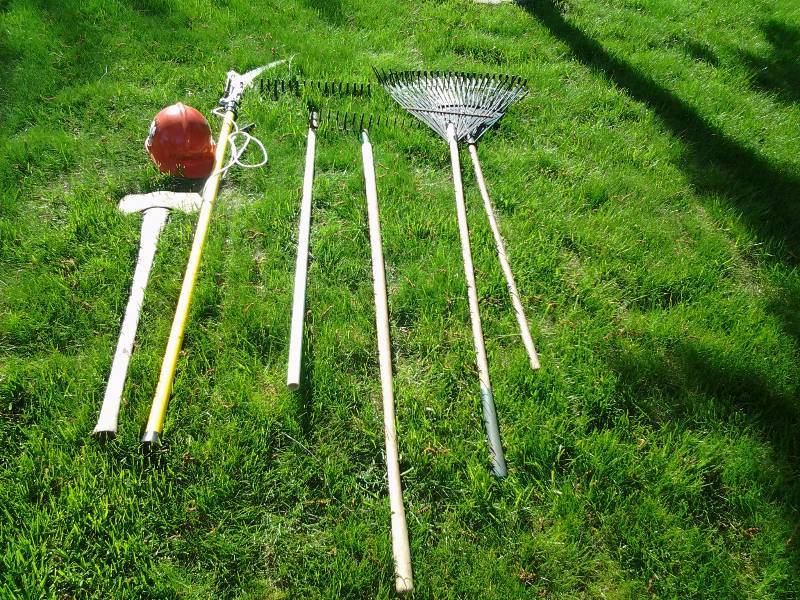 lot 53 image: Pole Saw, 2 Hard Rakes, 2 Leaf Rakes, Ax, Hard Hat