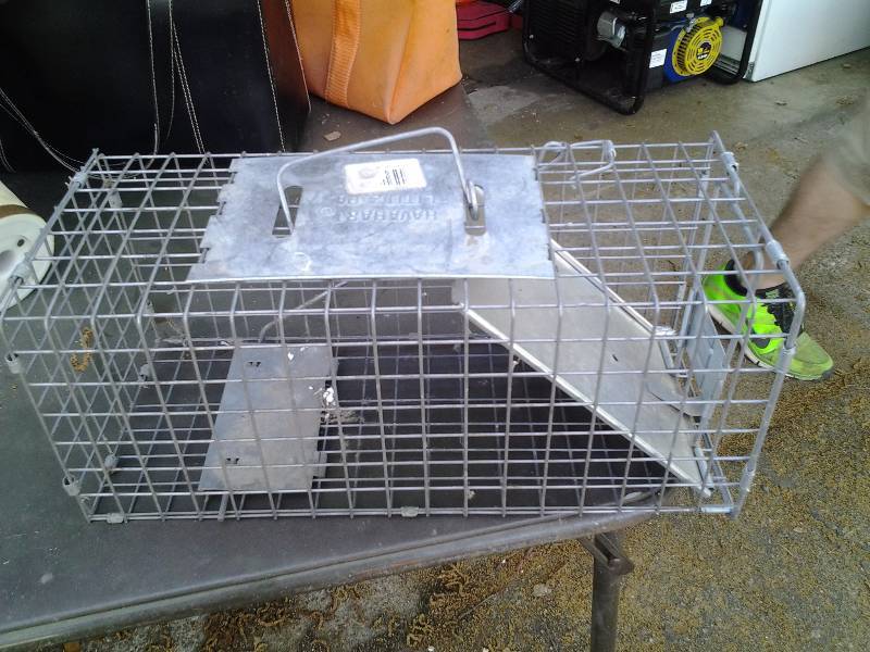 lot 70 image: Hav-A-Hart Trap