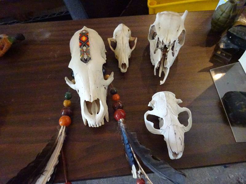 Lot of Skulls