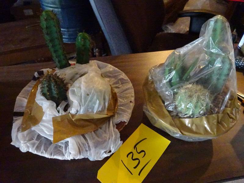 Two Fake Cactus Planters