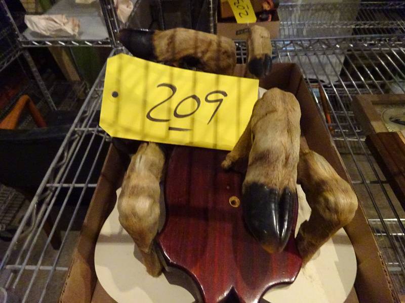 Deer Hoof Wall Hooks