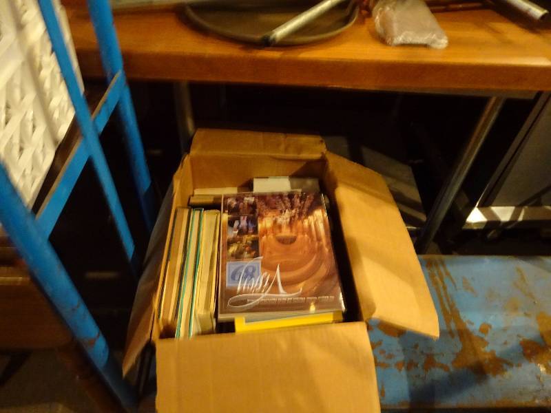 Huge Lot of Books
