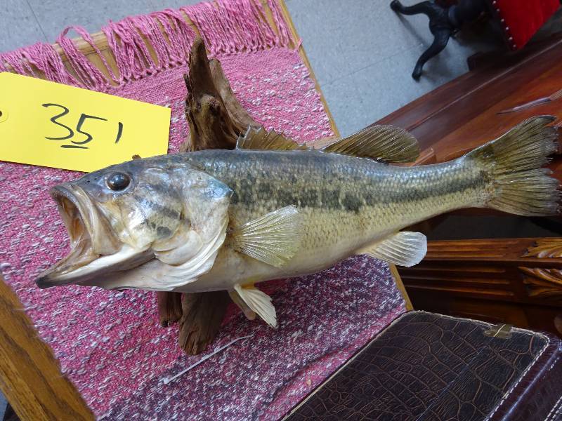 Bass Mount