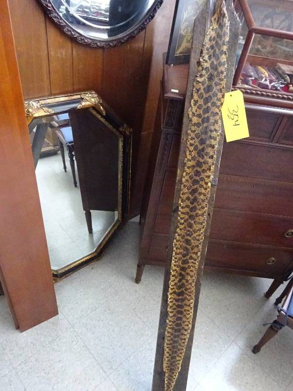 Huge Rattle Snake
