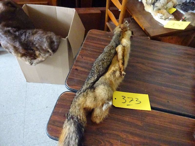 Fox Pelt