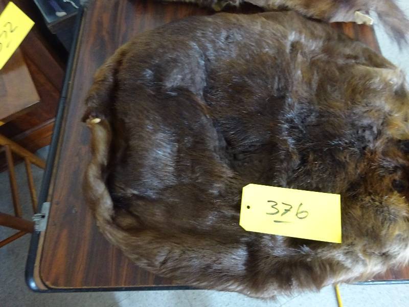 Beaver Pelt