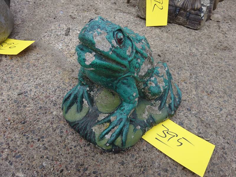 Garden Frog