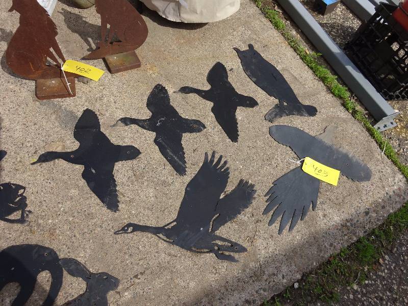 Ducks(3), Owl, Goose,Pheasant