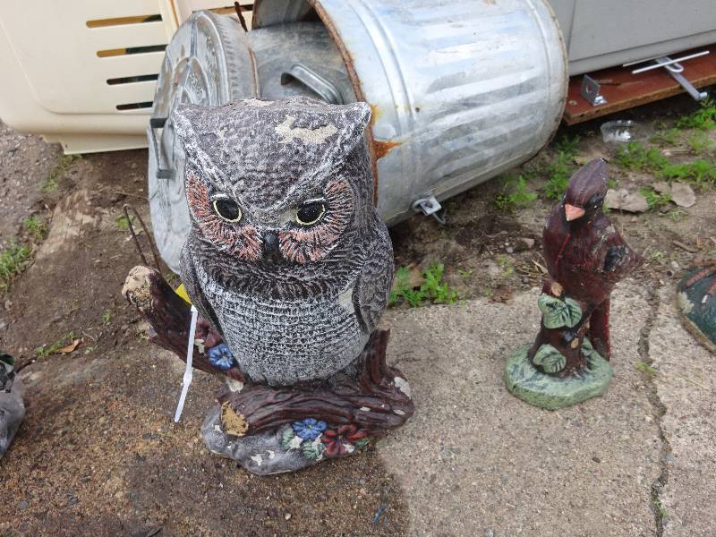 Grey Owl, Red Bird