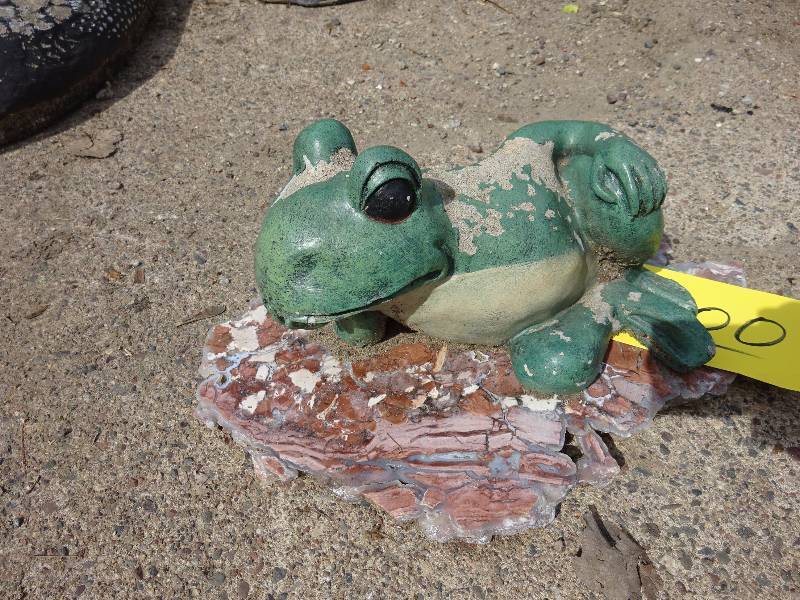 Frog on Fancy Stone