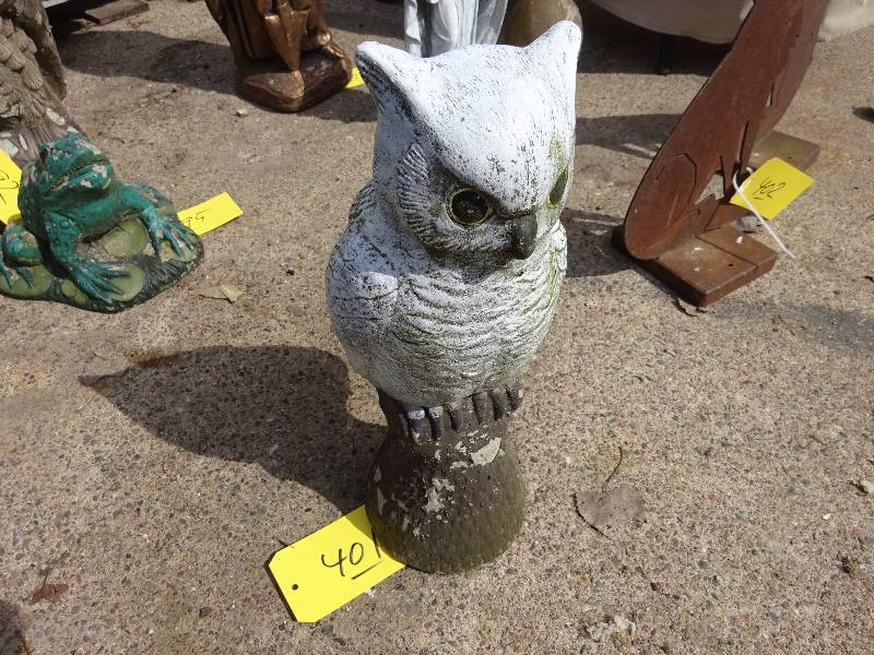 Snowy Owl