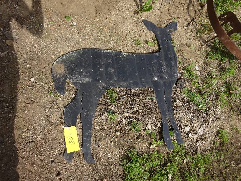 Doe