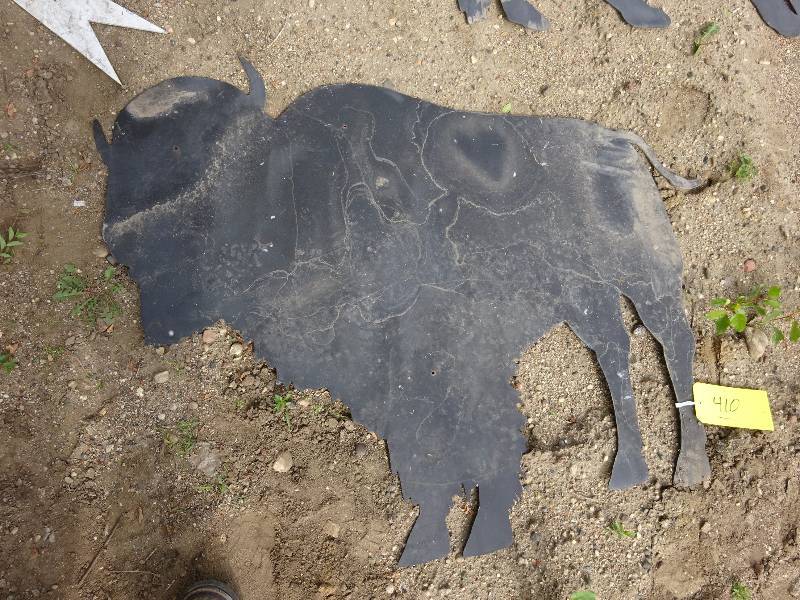 Bison
