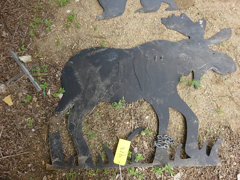 Moose