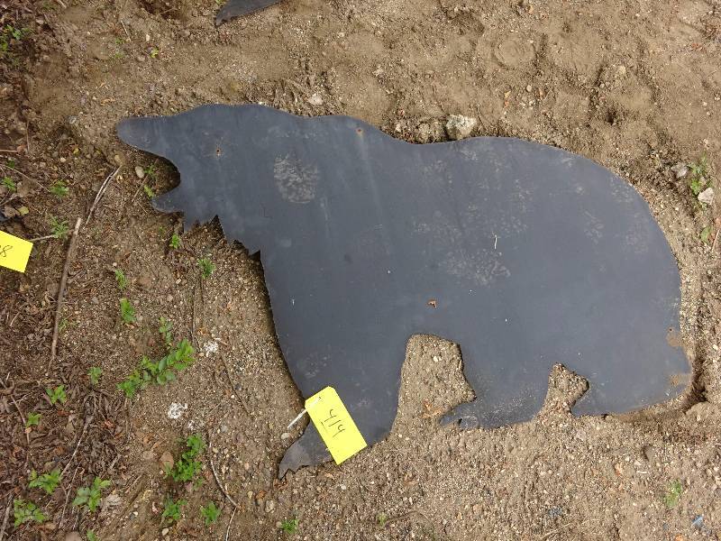 Large bear