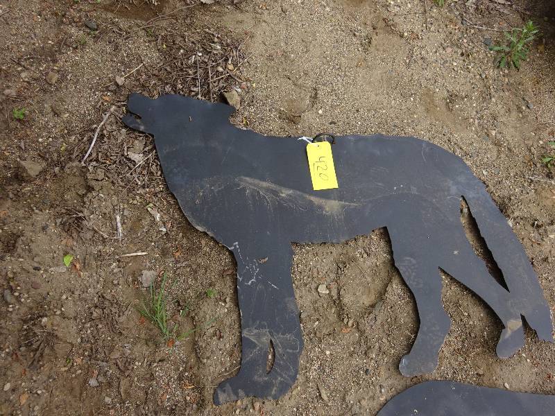 Wolf